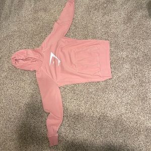 Pink gym shark hoodie